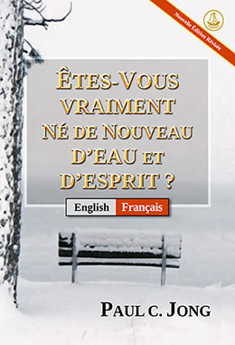 Bilingue Bilingue
