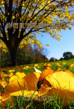你們重生需要什麼呢? 你們重生需要什麼呢?