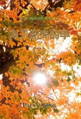 关于約翰福音的佈道 (Ⅵ) - 为了迷失的羊 (Ⅰ) 关于約翰福音的佈道 (Ⅵ) - 为了迷失的羊 (Ⅰ)