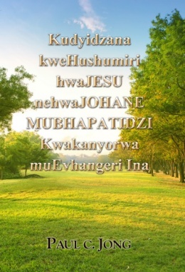 Kudyidzana kweHushumiri hwaJESU nehwaJOHANE MUBHAPATIDZI Kwakanyorwa muEvhangeri Ina