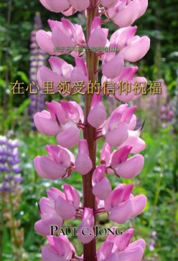 关于马可福音的布道 (Ⅲ) - 在心里领受的信仰祝福 关于马可福音的布道 (Ⅲ) - 在心里领受的信仰祝福