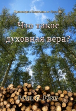 Проповеди о Евангелии от Луки (Ⅱ) - Что такое духовная вера?