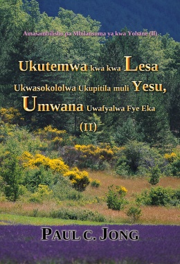 Amasambilisho pa Mbilansuma ya kwa Yohane (II) - Ukutemwa kwa kwa Lesa Ukwasokololwa Ukupitila muli Yesu, Umwana Uwafyalwa Fye Eka (II)