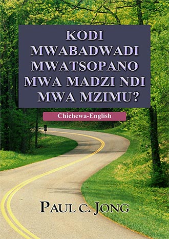 [Chichewa－English] KODI MWABADWADI MWATSOPANO MWA MADZI NDI MZIMU?－Have you truly been born again of water and the Spirit?