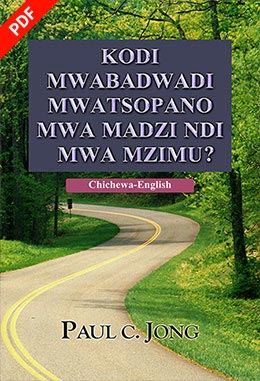 [Chichewa－English] KODI MWABADWADI MWATSOPANO MWA MADZI NDI MZIMU?－Have you truly been born again of water and the Spirit?