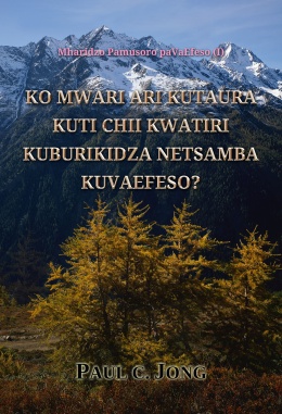KO MWARI ARI KUTAURA KUTI CHII KWATIRI KUBURIKIDZA NETSAMBA KUVAEFESO?