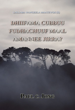 LALLABA WANGEELA MAATEWOS (II) - DHIIFAMA CUBBUU FUDHACHUUF MAAL AMANNEE JIRRA?