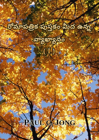 రోమాపత్రిక పుస్తకం మీద ఉన్న వ్యాఖ్యానం (I)